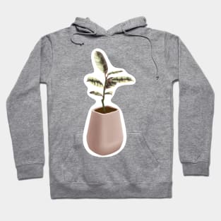 Ficus Tineke Hoodie